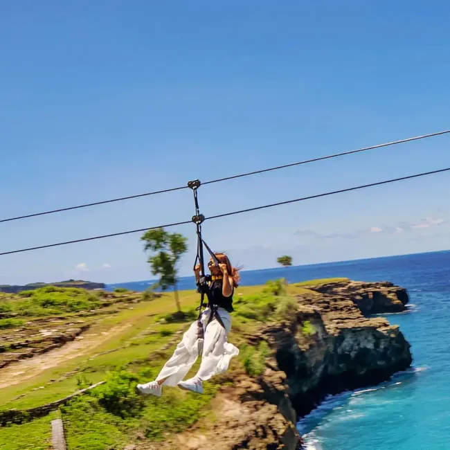 Driftwood Bar Dan Zipline